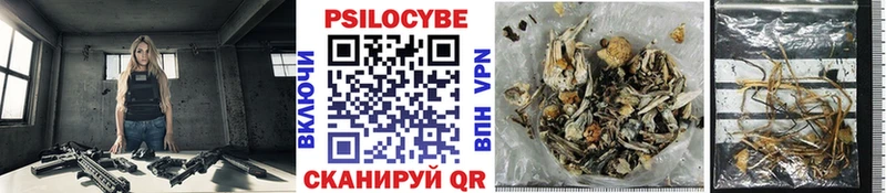 Галлюциногенные грибы Magic Shrooms где можно купить Питкяранта
